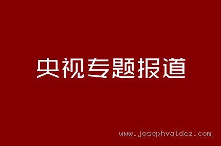 央视专题报道