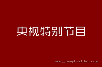 央视特别节目